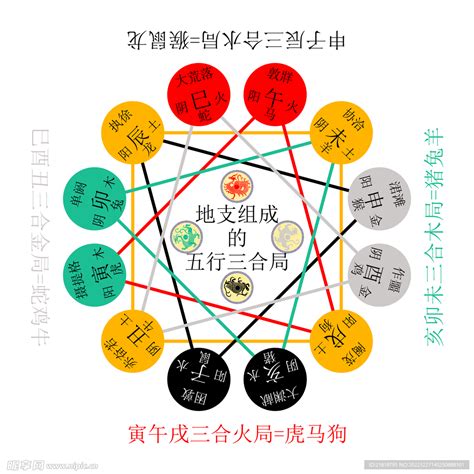 地支的五行|十天干十二地支对应五行 十天干十二地支五行阴阳属性